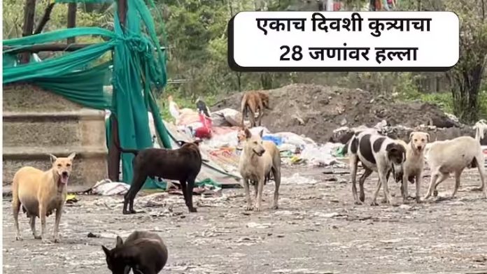 WhatsApp Image 2024-08-11 at 5.34.37 PM