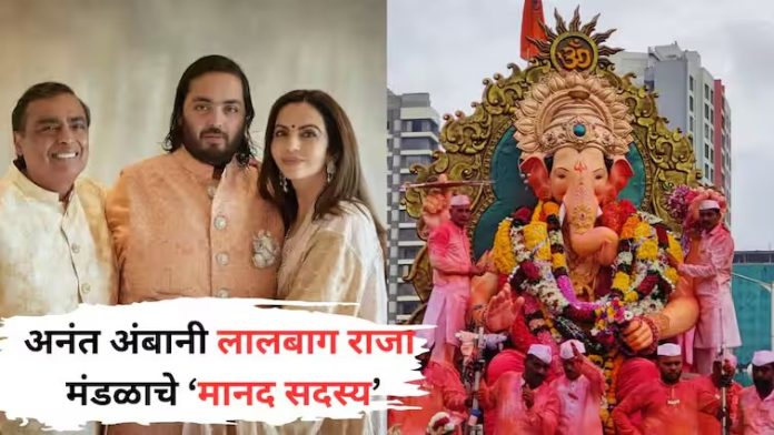 WhatsApp Image 2024-09-05 at 8.40.26 AM (1)