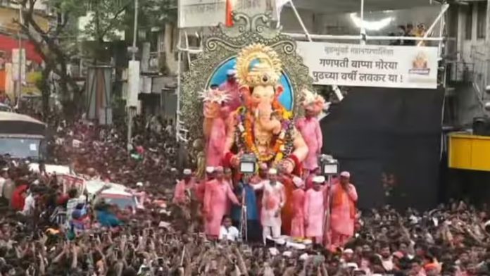 WhatsApp Image 2024-09-18 at 8.17.29 AM