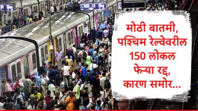WhatsApp Image 2024-09-30 at 8.41.46 AM