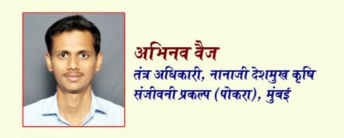 WhatsApp Image 2024-10-18 at 2.39.26 PM