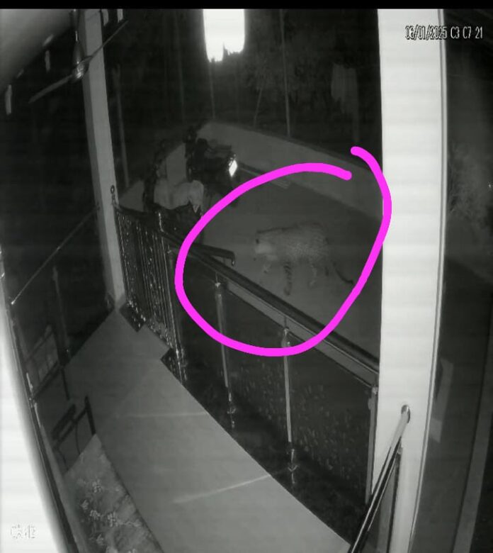 WhatsApp Image 2025-01-07 at 7.19.12 PM