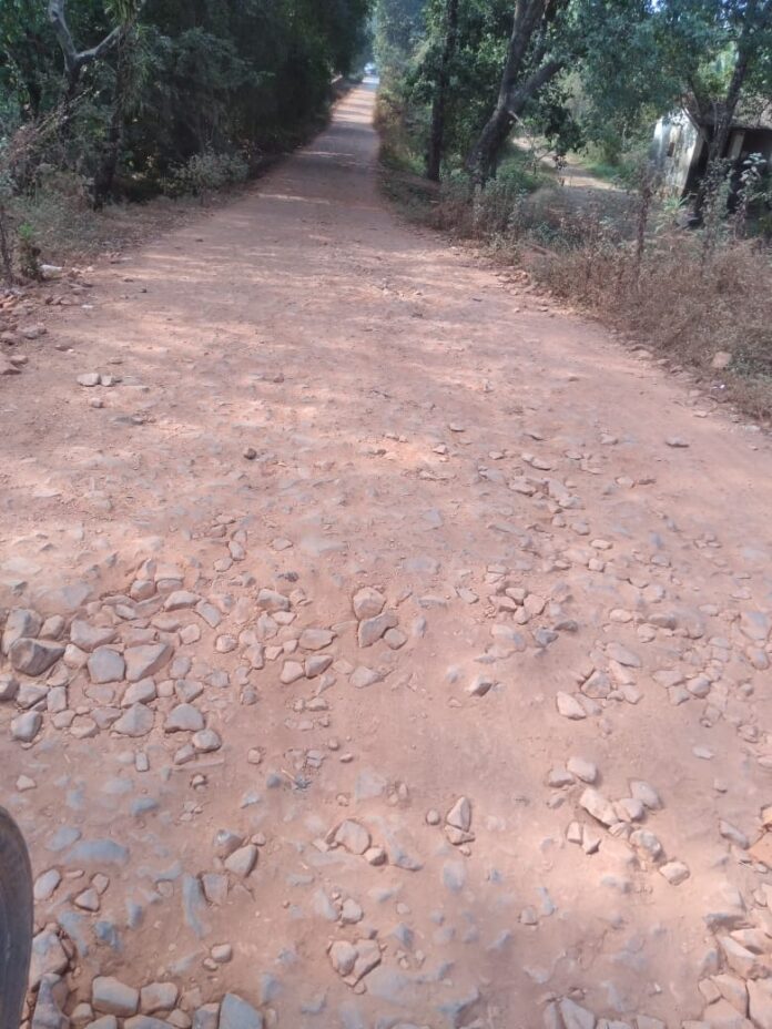 WhatsApp Image 2025-01-17 at 2.57.03 PM