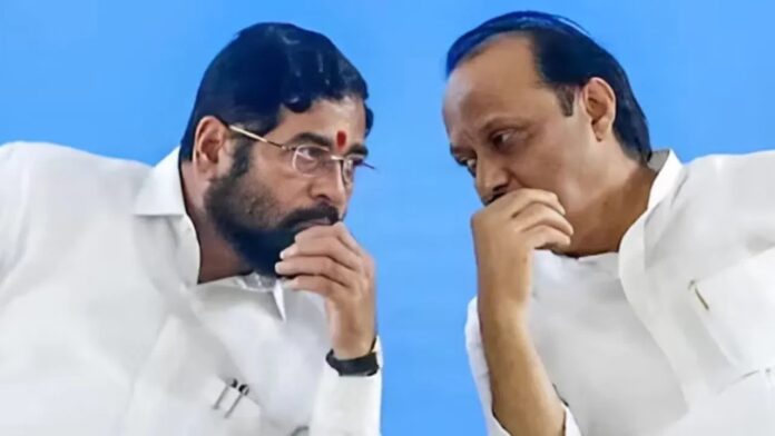 WhatsApp Image 2025-03-14 at 10.54.19 AM