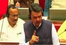 WhatsApp Image 2025-03-19 at 5.28.35 PM