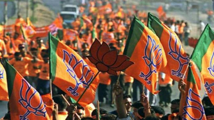 WhatsApp Image 2025-03-31 at 5.39.20 PM