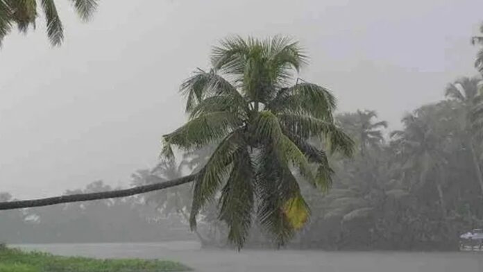 WhatsApp Image 2025-06-23 at 8.30.36 AM