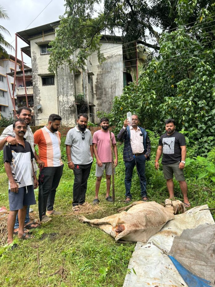 WhatsApp Image 2025-06-27 at 2.33.25 PM