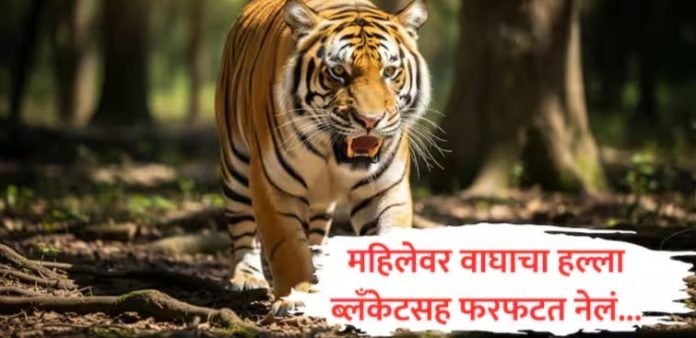 WhatsApp Image 2025-09-28 at 4.00.32 PM