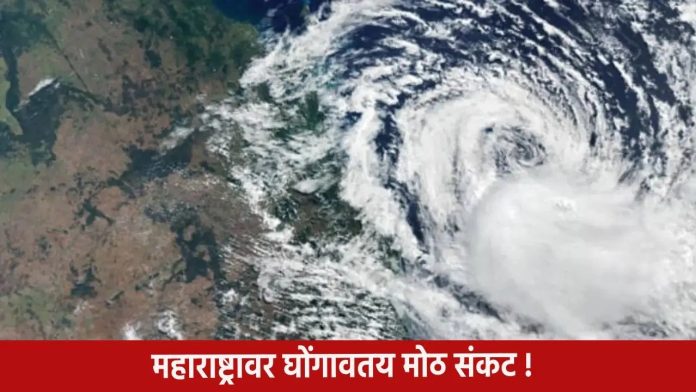 WhatsApp Image 2025-10-04 at 8.25.55 AM