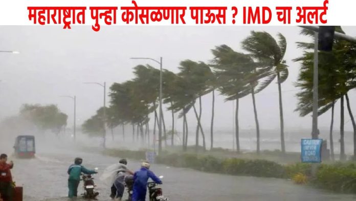 WhatsApp Image 2025-10-13 at 9.19.06 AM